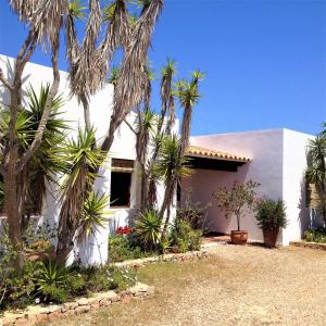 una casa blanca con palmeras delante en Apartamentos Laura Playa de Migjorn, en Playa de Migjorn