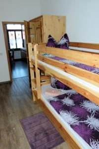 a couple of bunk beds in a room at Ferienwohnung KaRo in Ellefeld