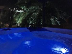 モガンにあるLa Villaのヤシの木が背景に浮かぶ夜の青いプール