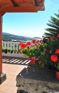 Balkon lub taras w obiekcie Casitas Rosheli