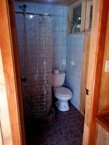 a bathroom with a shower and a toilet at Cabañas Sol de Montañas in Futaleufú