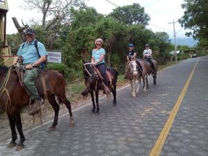 Zvířata v apartmánu nebo okolí + 91 fotografií