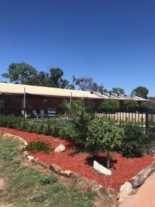 a garden in front of a building with a fence at Bridge Motor Inn Tocumwal in Tocumwal