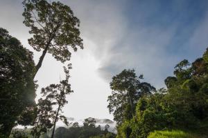 Landskap semula jadi dekat dengan vila ini