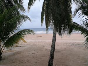 a beach with two palm trees and the ocean at Rainbow Tioman Cottage in Kampong Juara