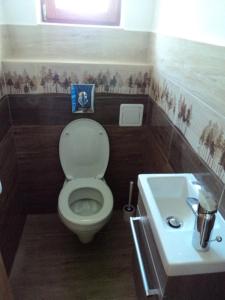 バラトンフレドにあるPetya-Lakの小さなバスルーム(トイレ、シンク付)