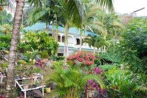 Gallery image of Evergreen Apartments in Anse Boileau +12 photos