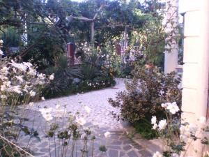 Zahrada ubytování White Guest House