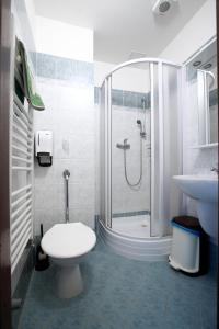 クラーシュテレツ・ナト・オフジーにあるHotel Slávieのバスルーム(シャワー、トイレ、シンク付)