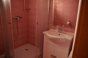 a bathroom with a sink and a shower at Ubytování Pálavská Riviéra in Pavlov