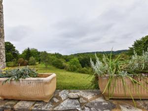 two large pots of plants sitting on a stone wall at Heavenly holiday home with pool in Villefranche-du-Périgord