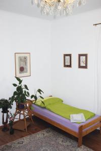 ein Schlafzimmer mit einem Bett mit einer grünen Decke in der Unterkunft Apartment NiNi in Wien