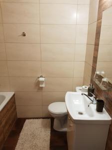 a bathroom with a white toilet and a sink at Penzión Prameň in Vinné