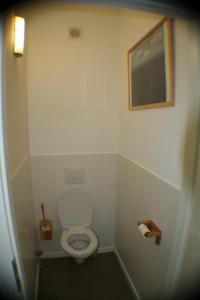 a small bathroom with a toilet and a picture on the wall at Résidence du Château Lublin in La Bresse +20 photos