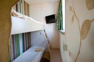 a small room with a bunk bed and a tv at Hotel de Plataan Delft Centrum in Delft