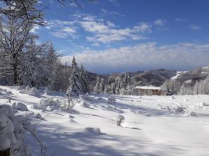 a snow covered field with trees and a house w obiekcie Antica Terrazza Pietramala w mieście Firenzuola