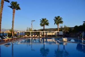 una gran piscina con palmeras en el fondo en Villa Eugenia, en Theológos