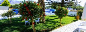 Zahrada ubytování Mastorakis Hotel and Studios