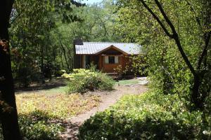 una pequeña cabaña en el bosque con un camino que conduce a ella en Cabaña Odila en Villa Ventana