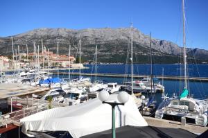 Φυσικό τοπίο κοντά σε αυτό το διαμέρισμα