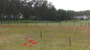 Foto dalla galleria di Ängshyddan B&B a Yngsjö