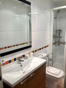 ビトリア・ガステイスにあるApartamento Vitoria IIIのバスルーム(洗面台、トイレ、鏡付)