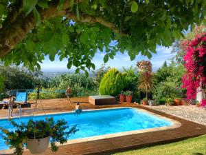 a swimming pool in a yard with a tree at Casal dos Melros in Cruzes