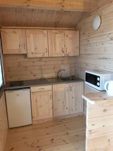 uma cozinha com armários de madeira, um lavatório e um micro-ondas em Morskieustronie em Ustronie Morskie