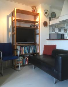 sala de estar con sofá, TV y estante para libros en Vissershuisje / old fishermans house en Medemblik