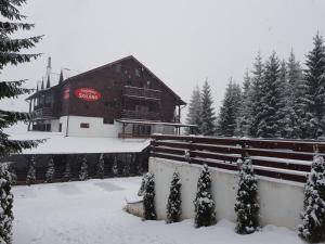 Fotografie z fotogalerie ubytování Pensiunea Skiland v destinaci Muntele Băişorii