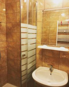 un baño con lavabo y ducha en Casa Bucurr, en Afumaţi