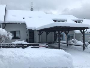 a house covered in snow with a roof at Ubytování Duškovi in Lipno nad Vltavou