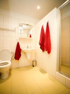 カルロヴィ・ヴァリにあるApartmán Moravská 188のバスルーム(トイレ、洗面台、赤いタオル付)