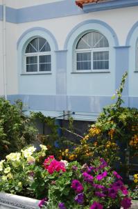 Gallery image of Casa Do Antonio in Velas