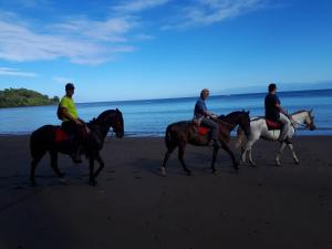 Hesteridning på gjestgiveriet eller i nærheten