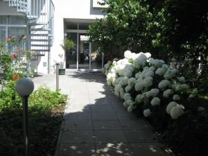 a row of white flowers next to a sidewalk at City Hotel in Linz