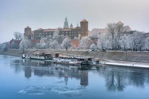 Przyroda w pobliżu tego apartamentu