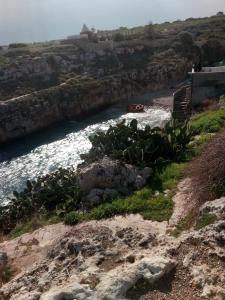 um rio com um grupo de cactos nas rochas em Villa Portalga al mare em Polignano a Mare