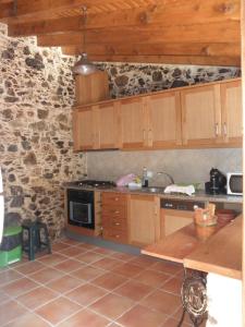フィゲイロー・ドス・ヴィーニョスにあるCasa Velhaの石壁のキッチン(木製キャビネット付)