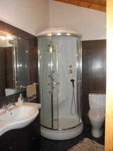 a shower in a bathroom with a sink and a toilet at Casa Velha in Figueiró dos Vinhos