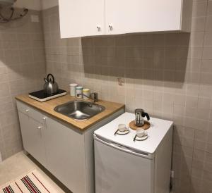 a small kitchen with a sink and a dishwasher at B&B Bari Old Town in Bari