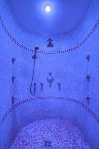 a bathroom with a shower with a blue ceiling at Villa Maria in Tirolo