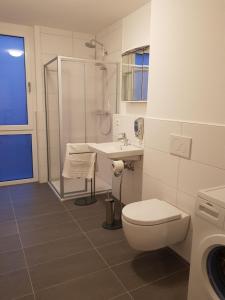 a bathroom with a shower and a toilet and a sink at AB Apartment Kornwestheim in Kornwestheim