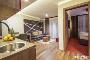 a kitchen with a sink and a living room at Centrum Osijek in Osijek