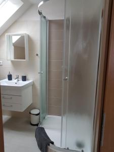 Vannituba majutusasutuses Apartmány TAS