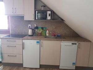 Köök või kööginurk majutusasutuses Apartmány TAS