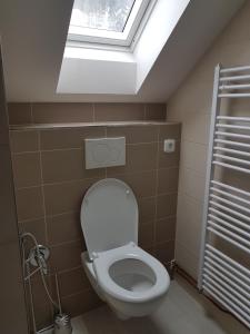 Vannituba majutusasutuses Apartmány TAS