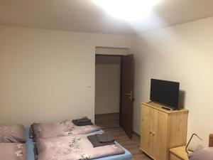 Televiisor ja/või meelelahutuskeskus majutusasutuses Apartmány TAS