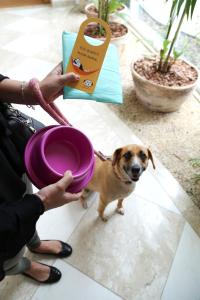 a person holding a purple plate with a small dog at Vitória Hotel Convention Paulínia in Paulínia