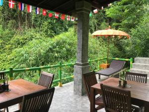 Zahrada ubytování WW Backpackers